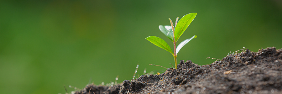 FAST OEM CDMO 서비스